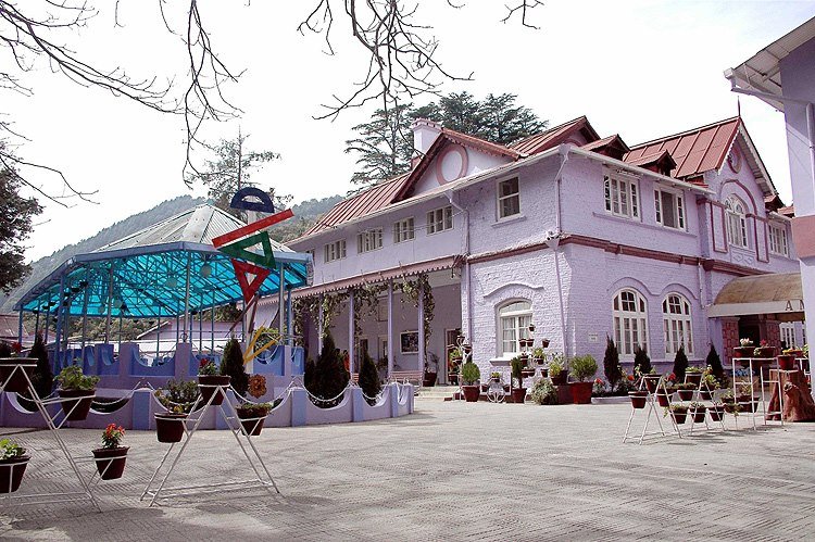 Amtul\'s Public School