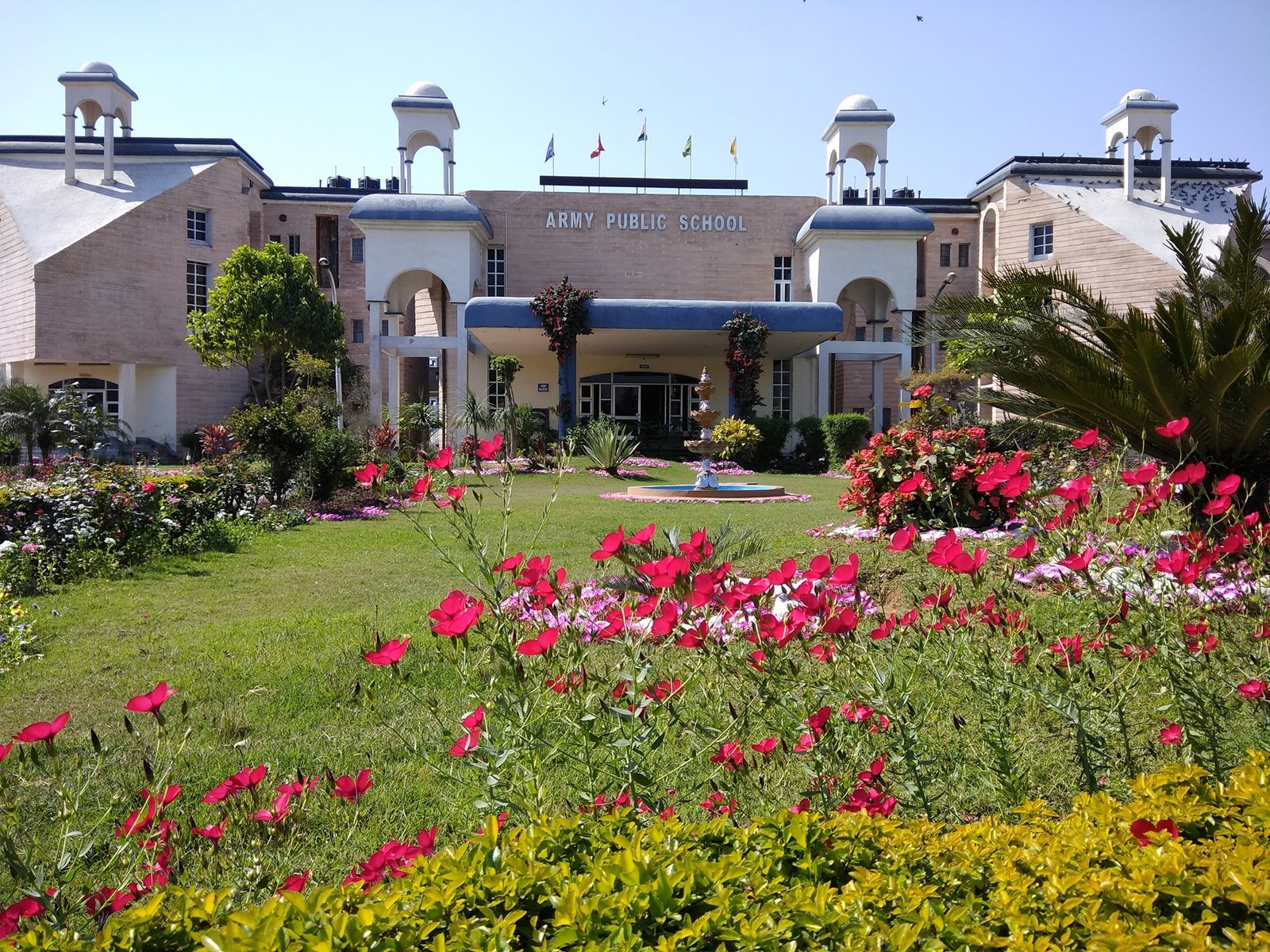 Army Public School