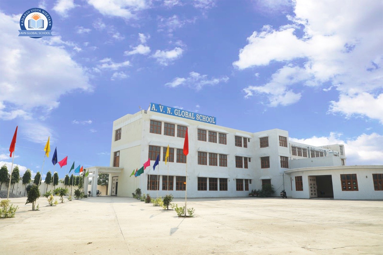 AVN Global School