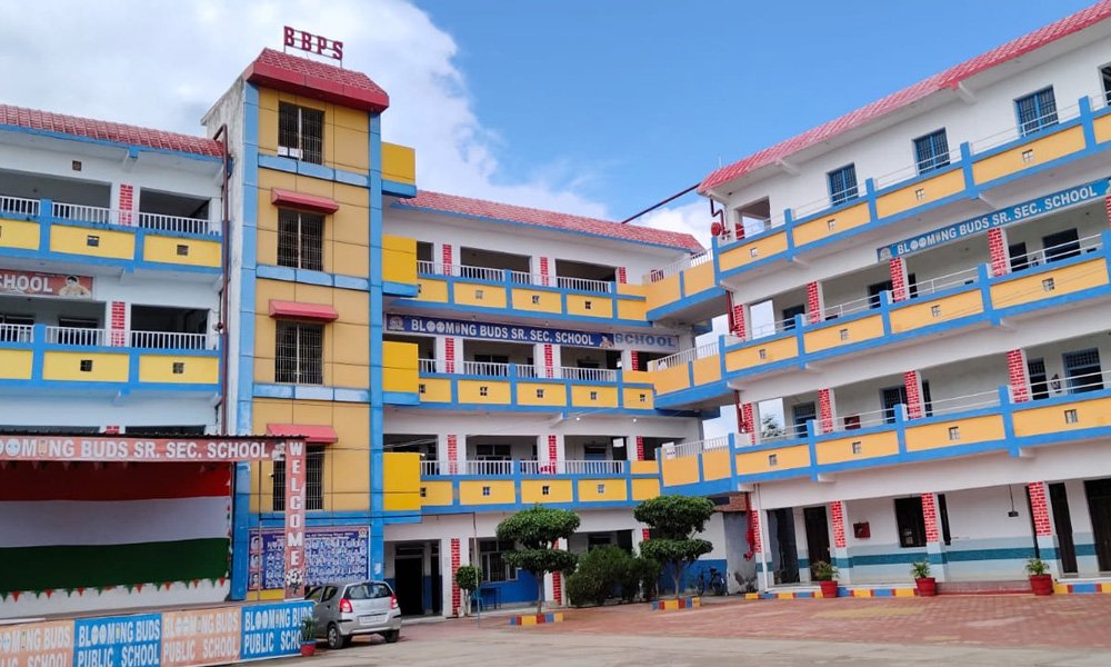 Blooming Buds Public School