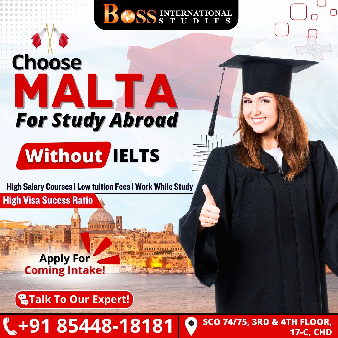 Boss International Studies