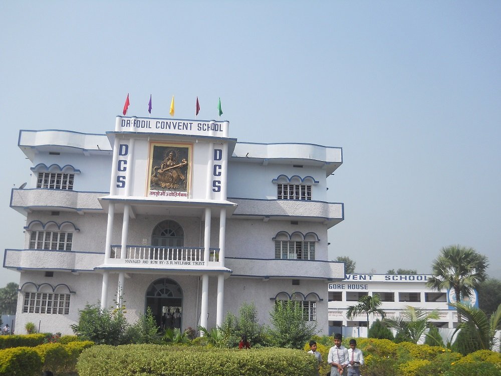 Daffodil Convent School