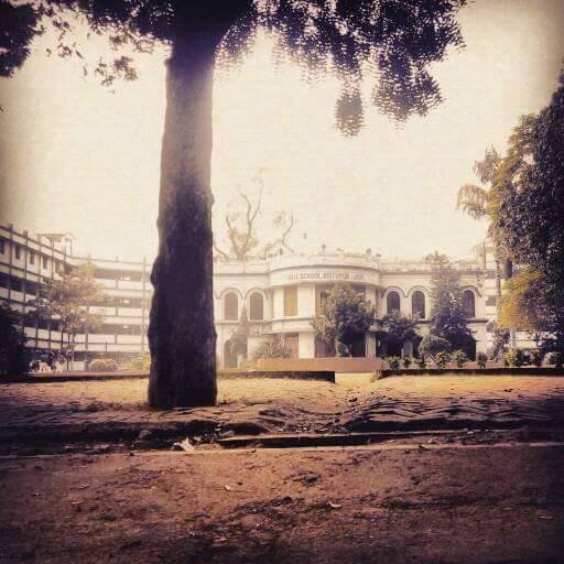 Dav Public School