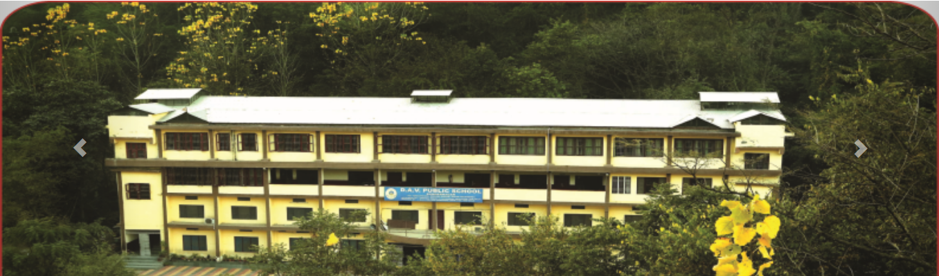DAV Public School