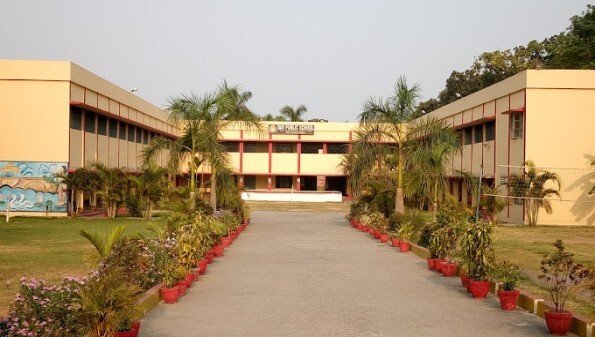 Dav Public School