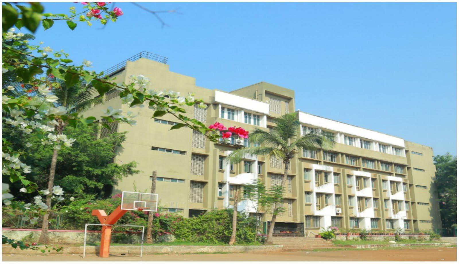 Dav Public School