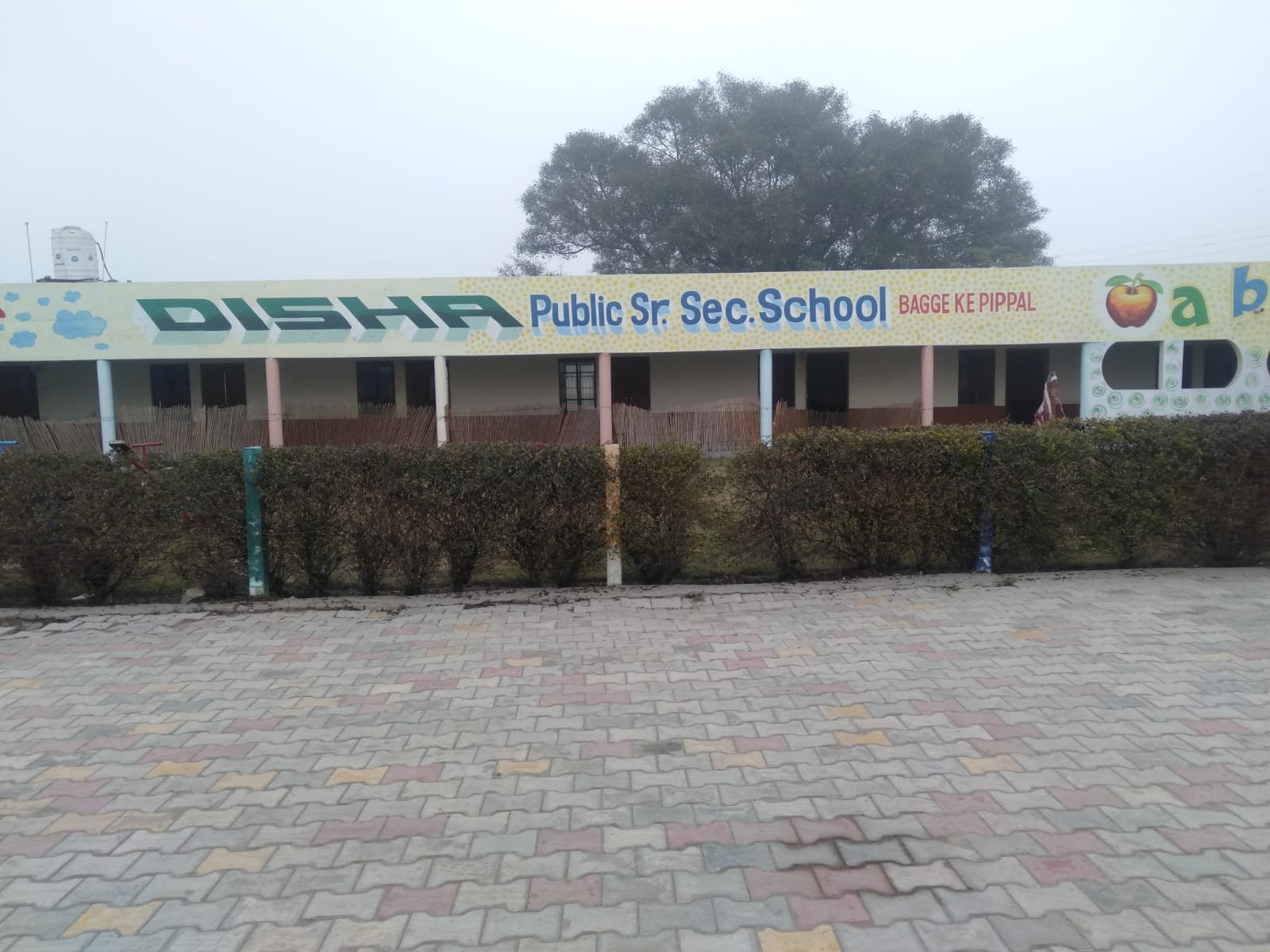 Disha Public Senior Secondary School