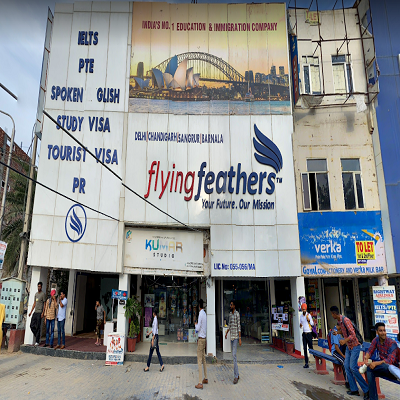 Flyingfeathers