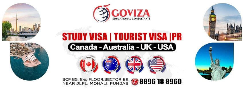 Goviza Consultants