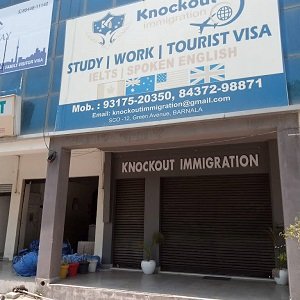 Knockout Immigration