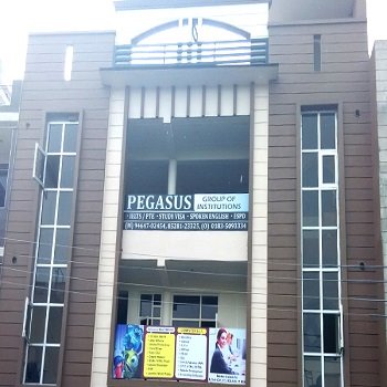Pegasus Institute