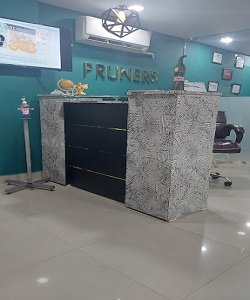 Pruners International Education and Immigration Pvt. Ltd