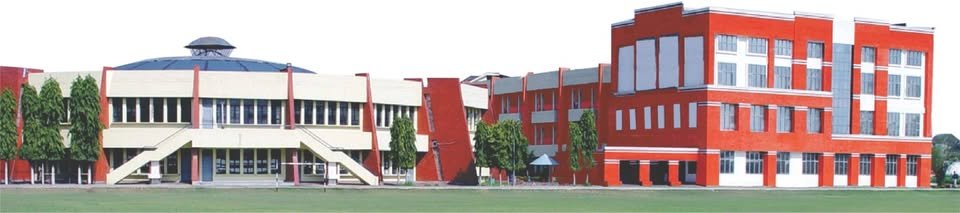 Sant Nischal Singh Public School