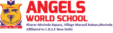 Angels World School logo