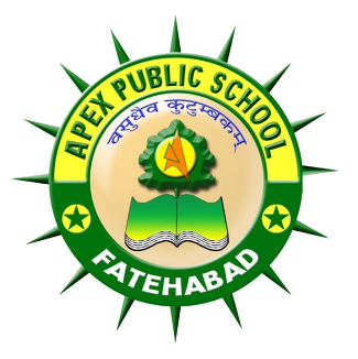 Apex Public School logo