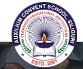 Auxilium Convent School logo