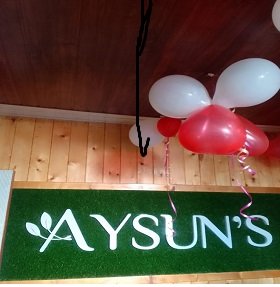 Aysun\'s Beauty & Spa Institute logo