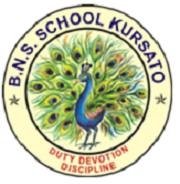 B. N. S. School logo