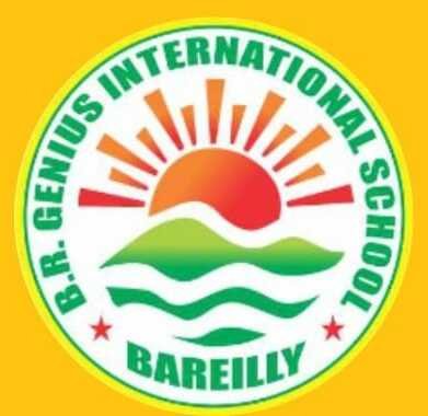 B. R. Genius International School logo