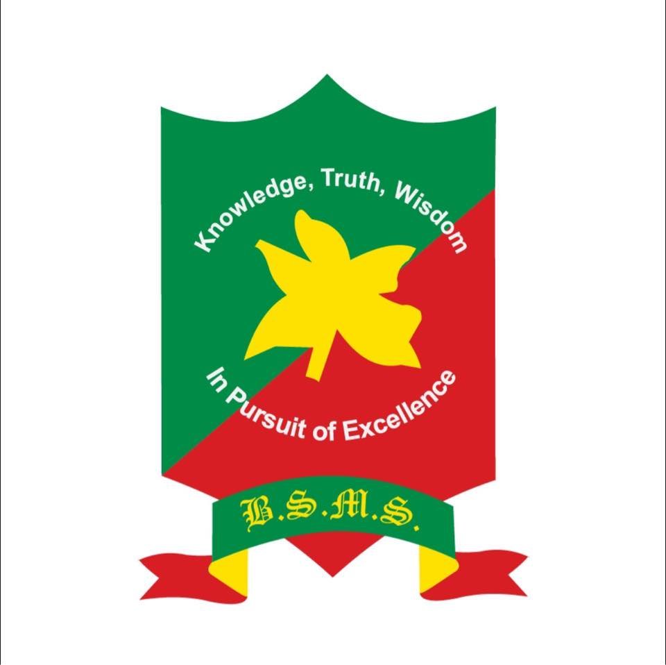 B. S. Memorial School logo