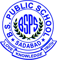 B. S. Public School logo