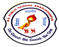 B. S. Public School logo