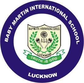 Baby Martin International School logo
