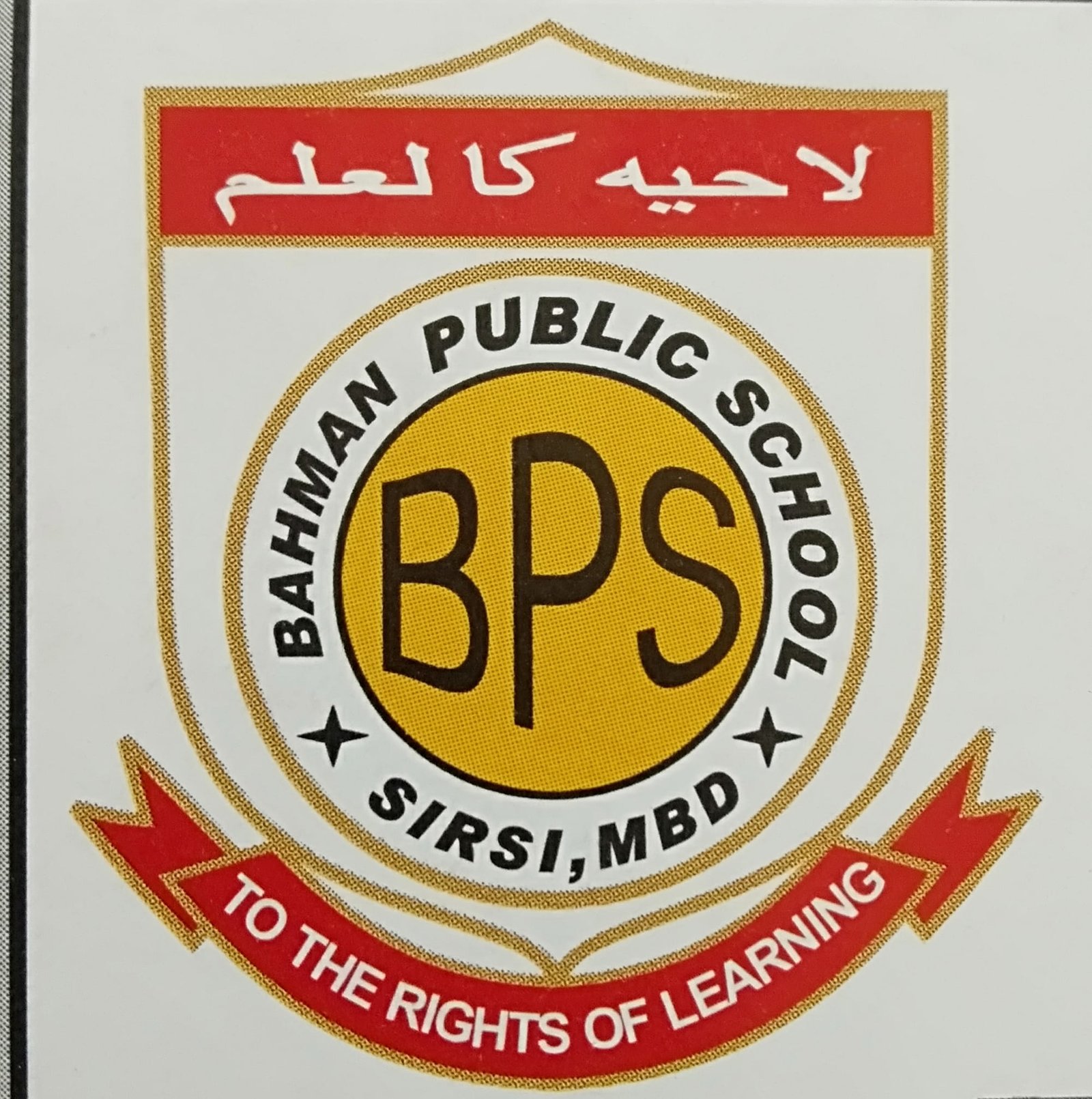 Bahman Public School logo