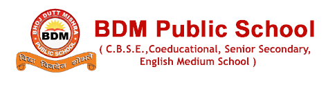 BDM Public School logo