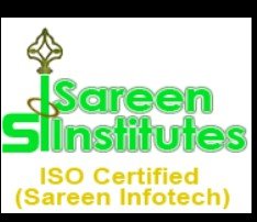 Bharteeya Vidya Niketan Sr. Sec. School (Sareen School) logo