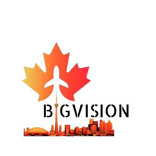 Bigvision Institue logo