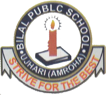 Bilal Public School logo