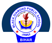 Black Diamond Public School logo
