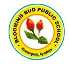 Blooming Bud Public School logo