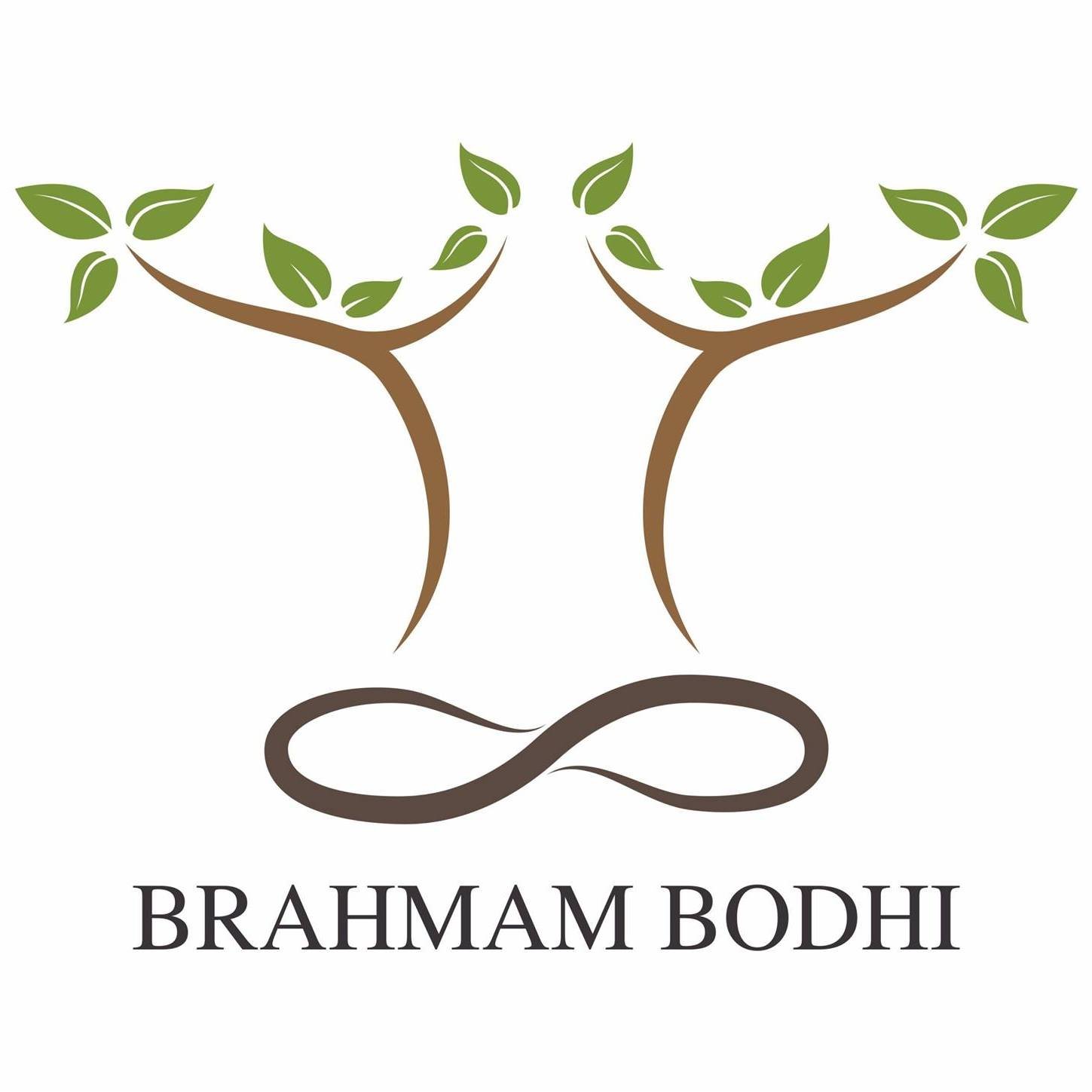 Bodhi International School logo