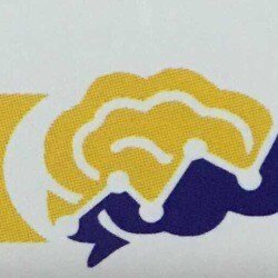 Brain Up Institute logo