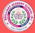 Brilliant Academy School logo