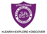 BSS Public School logo