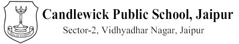 Candle Wick Public School logo