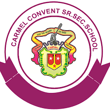 Carmel Convent Senior Secondary School logo