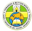 Carmel Convent Senior Secondary School logo