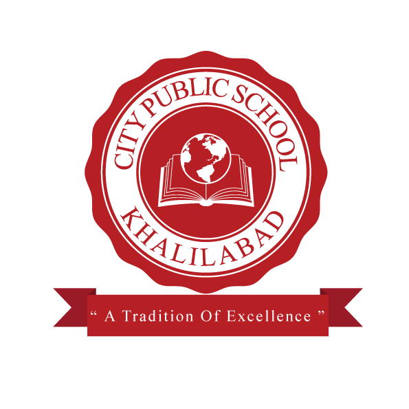 City Public School logo
