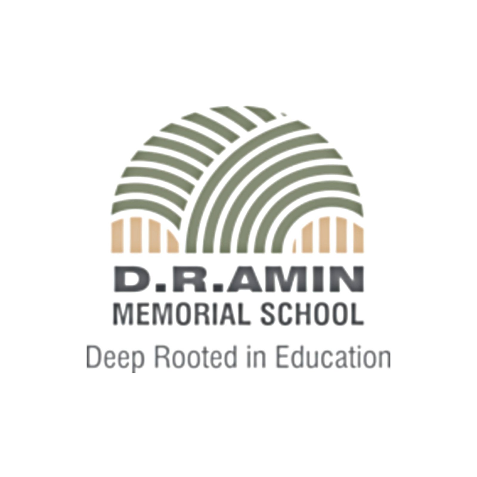 D. R. Amin Memorial School logo