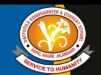 Daffodils Kindergarten & Convent School logo