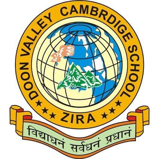 DOON VALLEY CAMBRIDGE SCHOOL logo