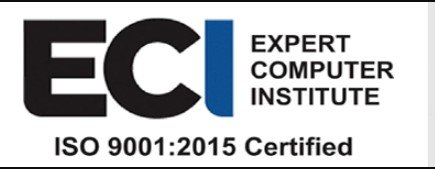 Expert Computer Institute logo