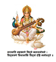 Haryana Model Senior Secondary School logo