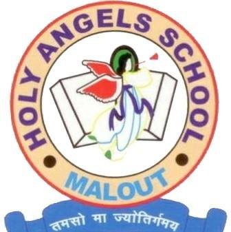 Holy Angel School Malout logo