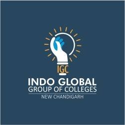 Indo Global Colleges logo