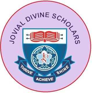 JDS International School logo